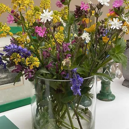 Het Heertje Den Hoorn (North Holland)